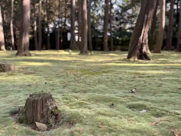 唐招提寺(奈良県)