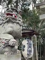 谷保天満宮の狛犬