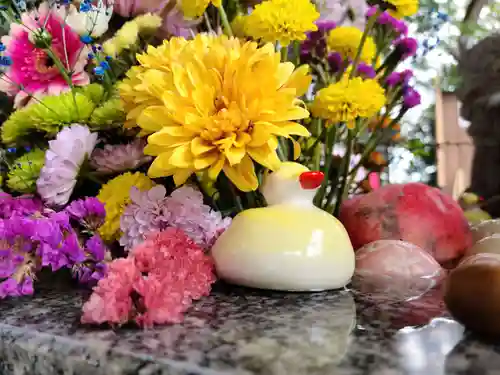 滑川神社 - 仕事と子どもの守り神の手水舎