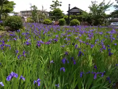 無量寿寺の{uncategorized: "未分類", other: "その他", undefined: "問題あり", building: "その他建物", grave: "お墓", sacred_gate: "鳥居", guardian: "狛犬", statue: "像", buddha: "仏像", history: "歴史", nature: "自然", garden: "庭園", animal: "動物", pagoda: "塔", temizu: "手水舎", mountain_gate: "山門・神門", sanctuary: "本殿・本堂", subordinate: "末社・摂社", art: "芸術", scenery: "景色", jizo: "地蔵", ema: "絵馬", goshuin: "御朱印", omikuji: "おみくじ", items: "授与品その他", amulet: "お守り", goshuincho: "御朱印帳", eats: "食事", festival: "お祭り", votive_dance: "神楽", shichigosan: "七五三参", wedding: "結婚式", experience: "体験その他", initially: "初詣", around: "周辺", anti_infection: "感染症対策"}