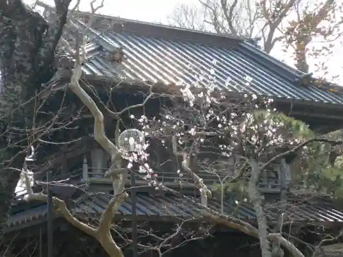 英勝寺のその他建物