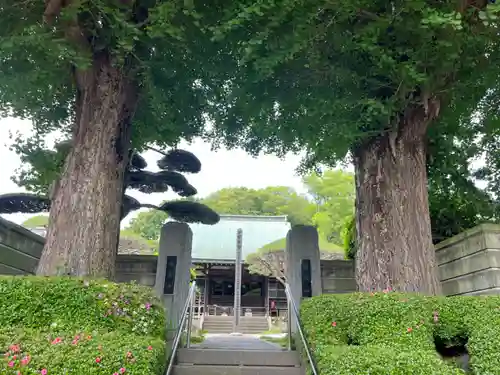 報恩寺の山門・神門