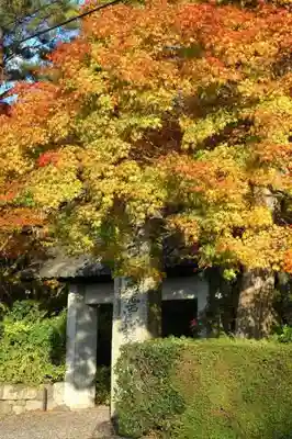 龍潭寺のその他建物