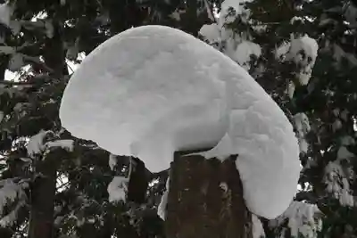 観音寺(福島県)