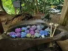 鷲子山上神社(栃木県)