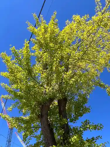 阿邪訶根神社(福島県)