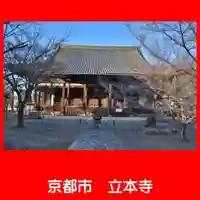 立本寺の本殿・本堂
