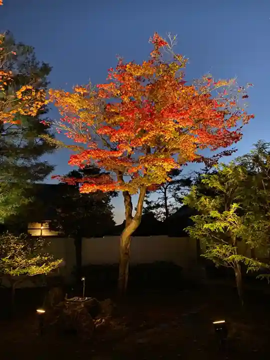 高台寺(高台寿聖禅寺・高臺寺)の庭園