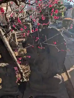 成願寺(東京都)