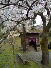 朝倉神社(福井県)