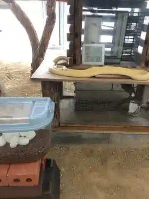 岩国白蛇神社のその他建物