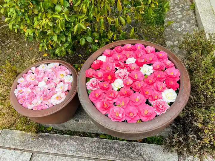 霊鑑寺門跡(京都府)