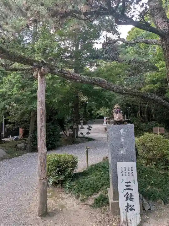 霊山寺(徳島県)