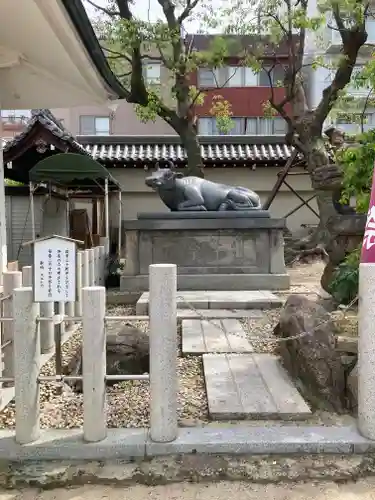 大阪天満宮の狛犬