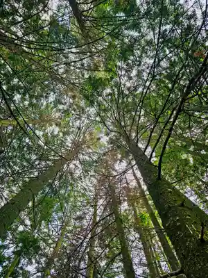 美幌神社(北海道)