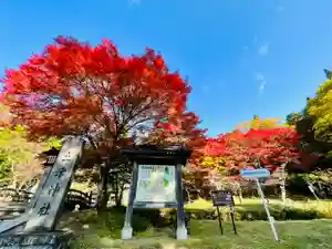土津神社|こどもと出世の神さまの自然(2021年10月28日(木) 10時07分33秒投稿)
