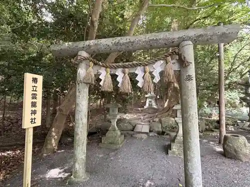 椿大神社三社龍神(三重県)