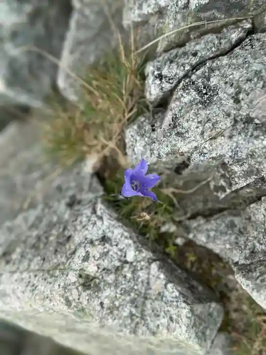 雄山神社峰本社の自然