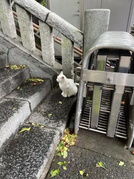 雷神社(神奈川県)