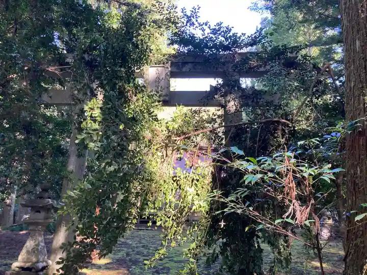 五社八幡神社(愛媛県)