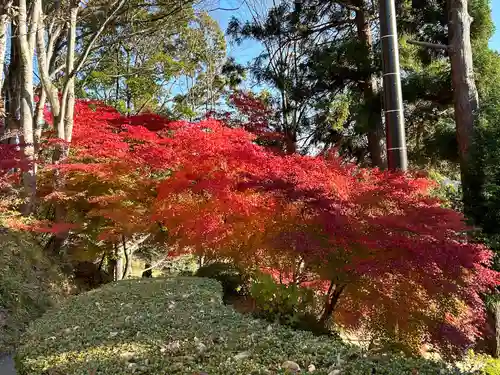 国宝 大法寺(長野県)