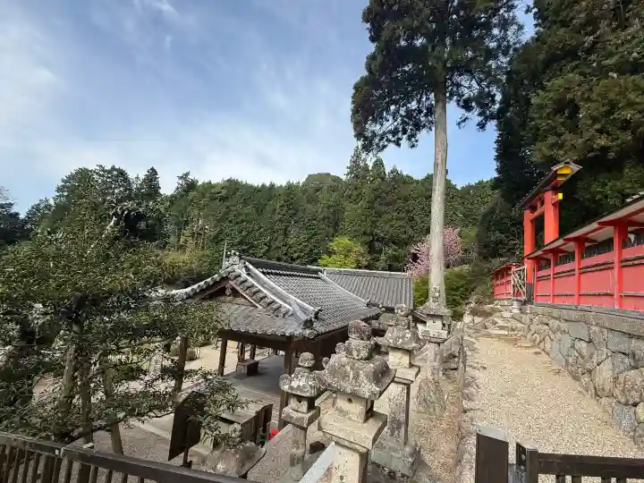 天神社の{uncategorized: "未分類", other: "その他", undefined: "問題あり", building: "その他建物", grave: "お墓", sacred_gate: "鳥居", guardian: "狛犬", statue: "像", buddha: "仏像", history: "歴史", nature: "自然", garden: "庭園", animal: "動物", pagoda: "塔", temizu: "手水舎", mountain_gate: "山門・神門", sanctuary: "本殿・本堂", subordinate: "末社・摂社", art: "芸術", scenery: "景色", jizo: "地蔵", ema: "絵馬", goshuin: "御朱印", omikuji: "おみくじ", items: "授与品その他", amulet: "お守り", goshuincho: "御朱印帳", eats: "食事", festival: "お祭り", votive_dance: "神楽", shichigosan: "七五三参", wedding: "結婚式", experience: "体験その他", initially: "初詣", around: "周辺", anti_infection: "感染症対策"}
