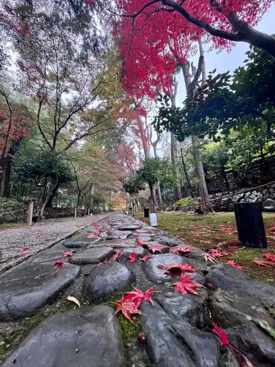 鹿王院(京都府)