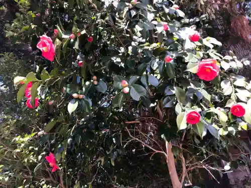 春日神社の{uncategorized: "未分類", other: "その他", undefined: "問題あり", building: "その他建物", grave: "お墓", sacred_gate: "鳥居", guardian: "狛犬", statue: "像", buddha: "仏像", history: "歴史", nature: "自然", garden: "庭園", animal: "動物", pagoda: "塔", temizu: "手水舎", mountain_gate: "山門・神門", sanctuary: "本殿・本堂", subordinate: "末社・摂社", art: "芸術", scenery: "景色", jizo: "地蔵", ema: "絵馬", goshuin: "御朱印", omikuji: "おみくじ", items: "授与品その他", amulet: "お守り", goshuincho: "御朱印帳", eats: "食事", festival: "お祭り", votive_dance: "神楽", shichigosan: "七五三参", wedding: "結婚式", experience: "体験その他", initially: "初詣", around: "周辺", anti_infection: "感染症対策"}