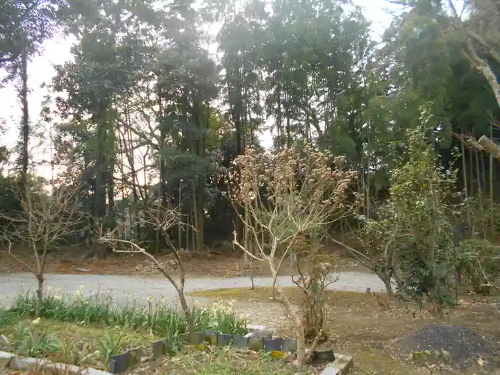 妙伝寺(妙傳寺)の庭園