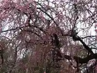 成就院(兵庫県)