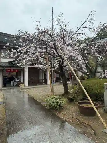 遍照院の{uncategorized: "未分類", other: "その他", undefined: "問題あり", building: "その他建物", grave: "お墓", sacred_gate: "鳥居", guardian: "狛犬", statue: "像", buddha: "仏像", history: "歴史", nature: "自然", garden: "庭園", animal: "動物", pagoda: "塔", temizu: "手水舎", mountain_gate: "山門・神門", sanctuary: "本殿・本堂", subordinate: "末社・摂社", art: "芸術", scenery: "景色", jizo: "地蔵", ema: "絵馬", goshuin: "御朱印", omikuji: "おみくじ", items: "授与品その他", amulet: "お守り", goshuincho: "御朱印帳", eats: "食事", festival: "お祭り", votive_dance: "神楽", shichigosan: "七五三参", wedding: "結婚式", experience: "体験その他", initially: "初詣", around: "周辺", anti_infection: "感染症対策"}