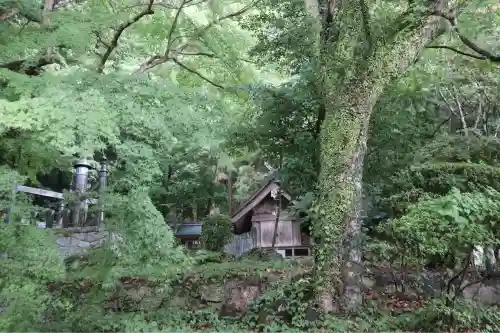 太宰府天満宮の{uncategorized: "未分類", other: "その他", undefined: "問題あり", building: "その他建物", grave: "お墓", sacred_gate: "鳥居", guardian: "狛犬", statue: "像", buddha: "仏像", history: "歴史", nature: "自然", garden: "庭園", animal: "動物", pagoda: "塔", temizu: "手水舎", mountain_gate: "山門・神門", sanctuary: "本殿・本堂", subordinate: "末社・摂社", art: "芸術", scenery: "景色", jizo: "地蔵", ema: "絵馬", goshuin: "御朱印", omikuji: "おみくじ", items: "授与品その他", amulet: "お守り", goshuincho: "御朱印帳", eats: "食事", festival: "お祭り", votive_dance: "神楽", shichigosan: "七五三参", wedding: "結婚式", experience: "体験その他", initially: "初詣", around: "周辺", anti_infection: "感染症対策"}