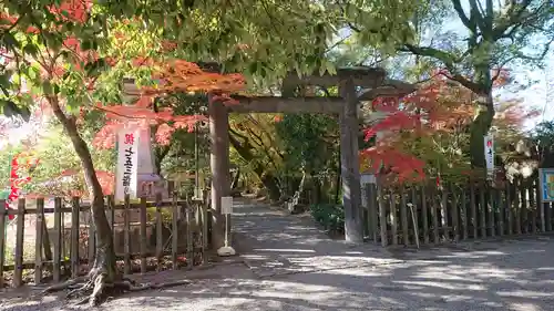 山内神社の鳥居