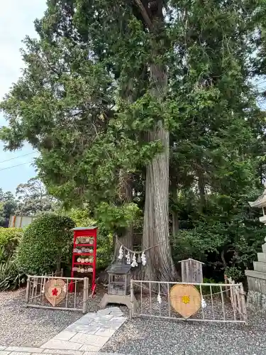 矢奈比賣神社（見付天神）(静岡県)