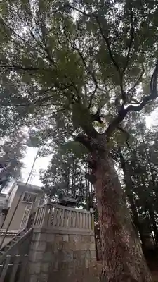 須佐之男神社(奈良県)