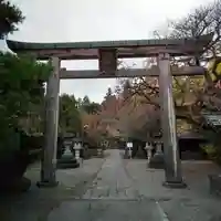 今市瀧尾神社の鳥居