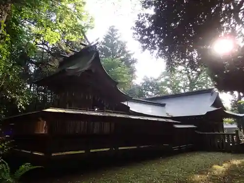 倭文神社の本殿