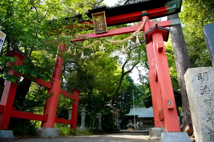 西堀 氷川神社の鳥居