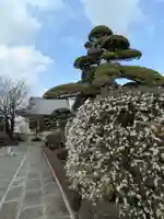 松應寺(東京都)
