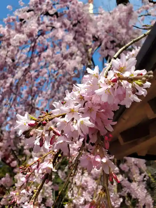 妙関寺(福島県)