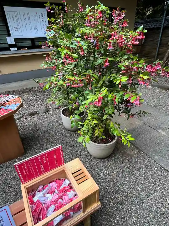 赤坂氷川神社(東京都)