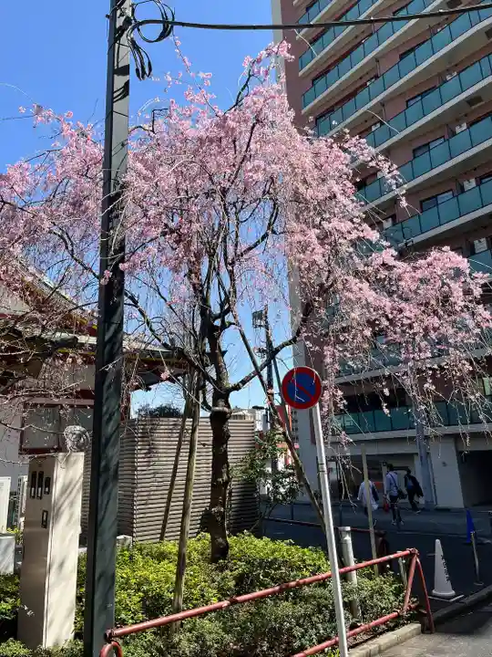 神田神社(神田明神)(東京都)
