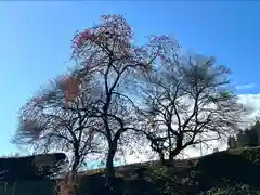 子檀嶺神社(長野県)