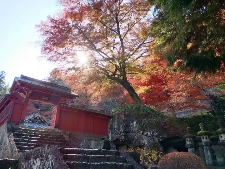 妙義神社(群馬県)