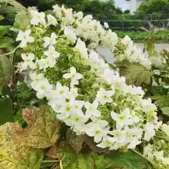 豊景神社の自然