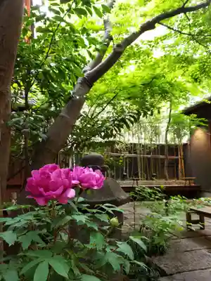 陽運寺(東京都)