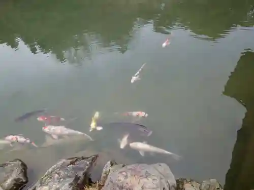 永保寺(岐阜県)