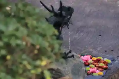 大鏑神社の手水舎