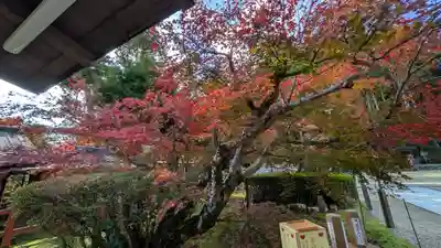 大原野神社(京都府)