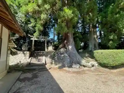 湯立神社(奈良県)